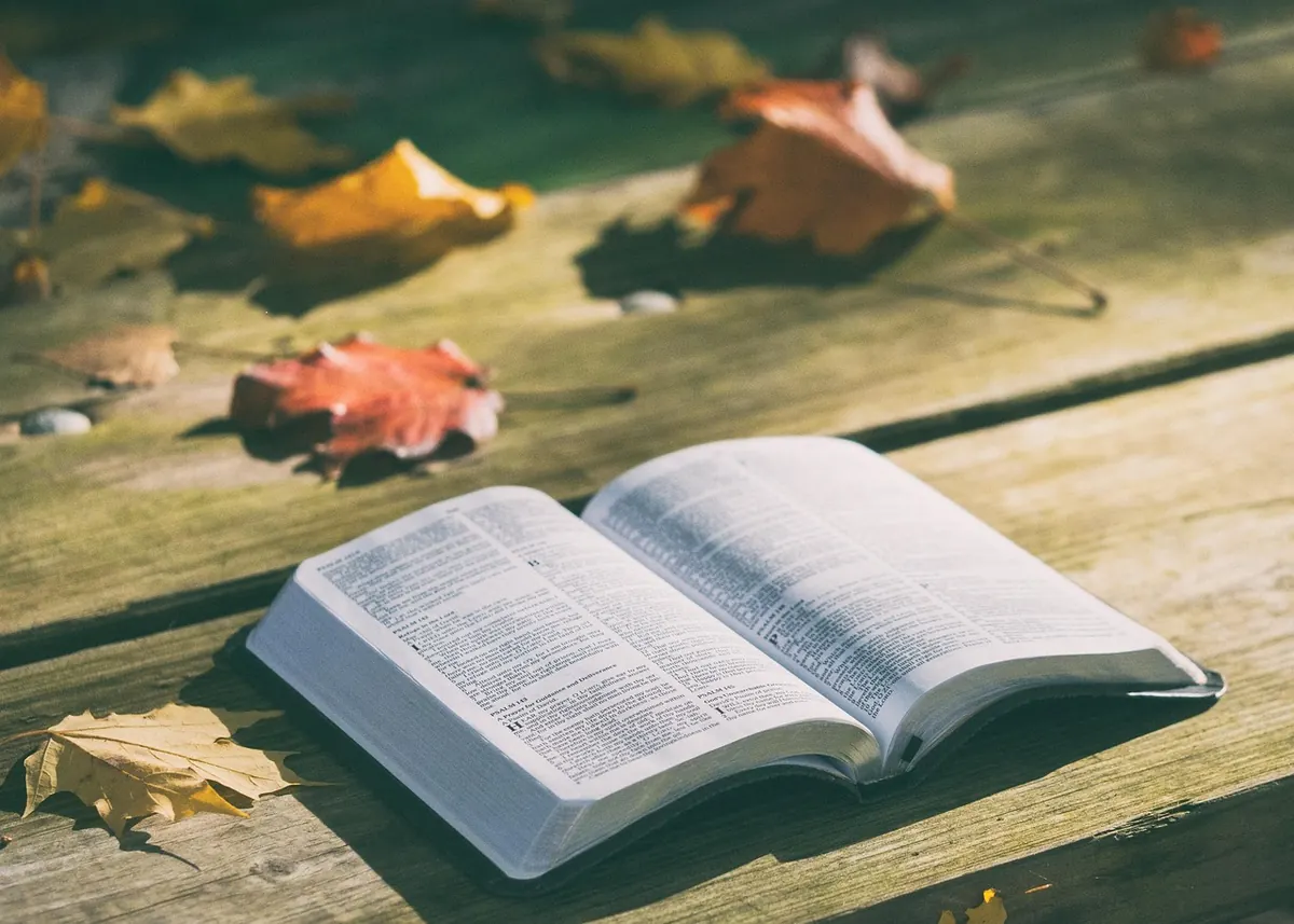 Book Blurb vs Synopsis: What's the Difference and When to Use Each